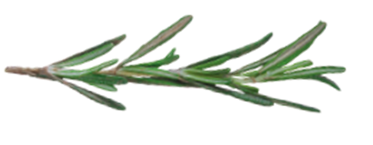 Happy Holidays from Williamson Group! header image.