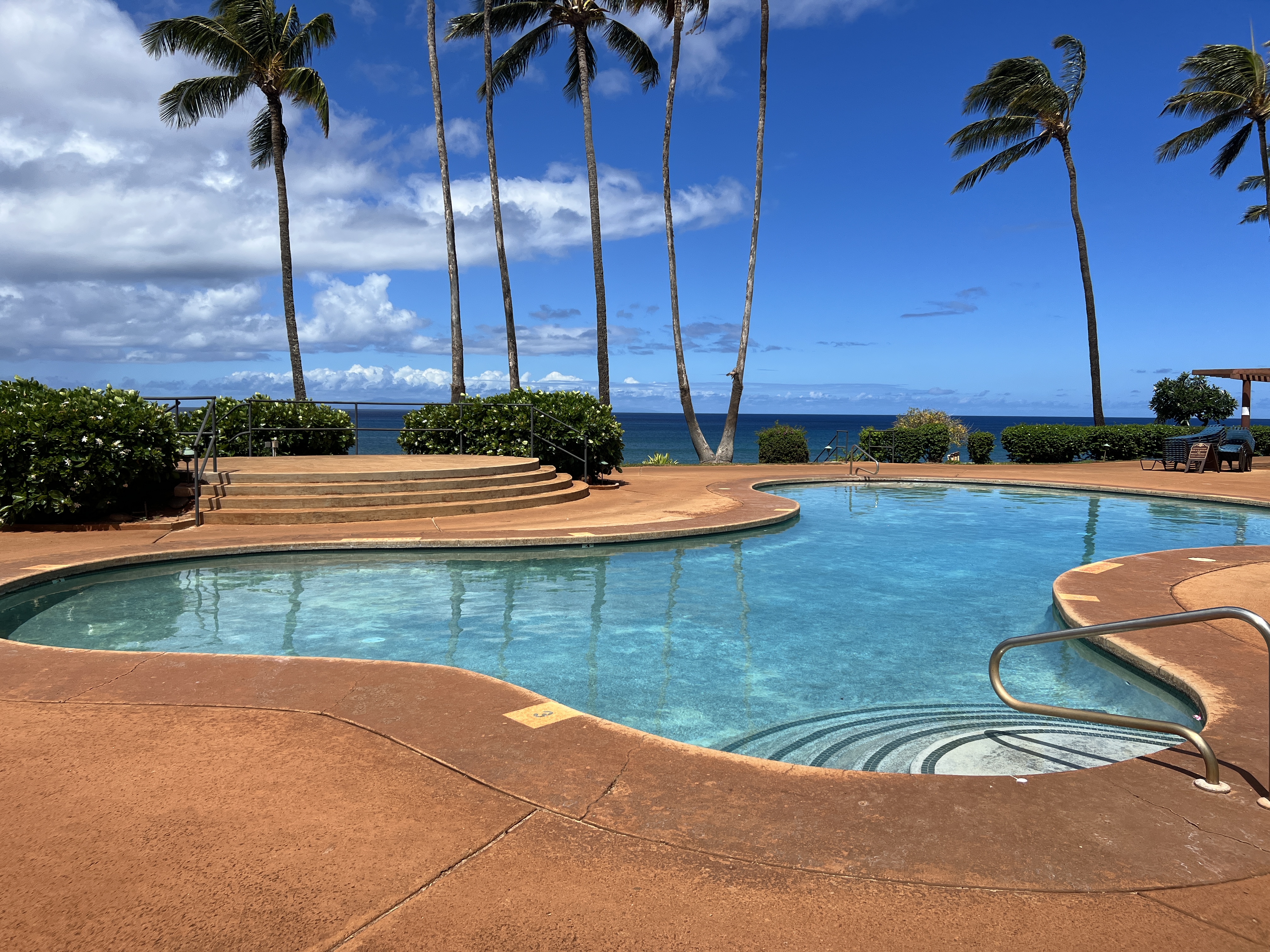 HOA dues mean you're relaxing pool side instead of mowing that lawn!