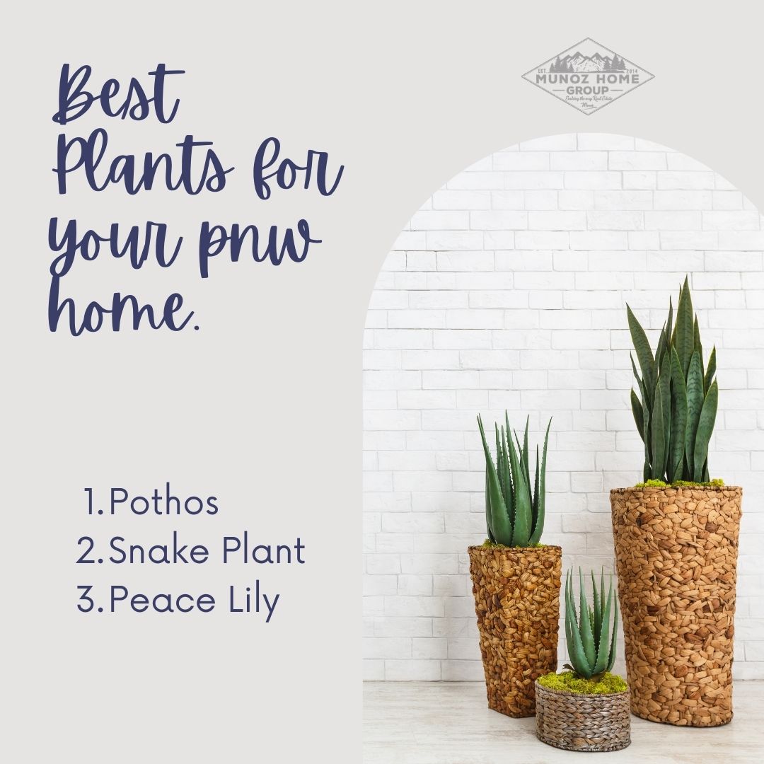 Best Plants for your Pacific Northwest Home header image.