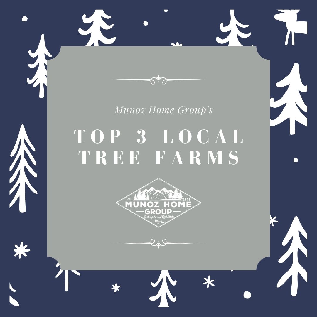 MHG's Top 3 Local Tree Farm Spots header image.
