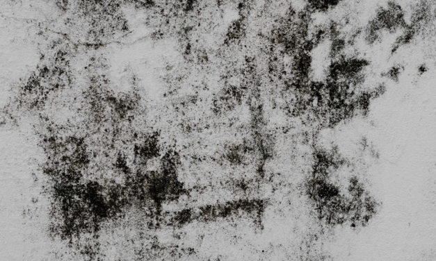 ADDRESSING MOLD ISSUES header image.