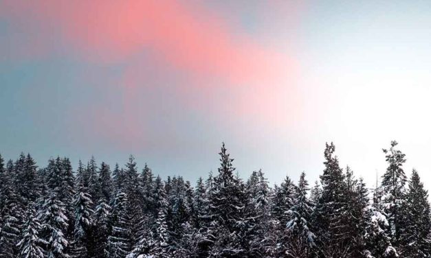 DOES SEQUIM GET SNOW? header image.