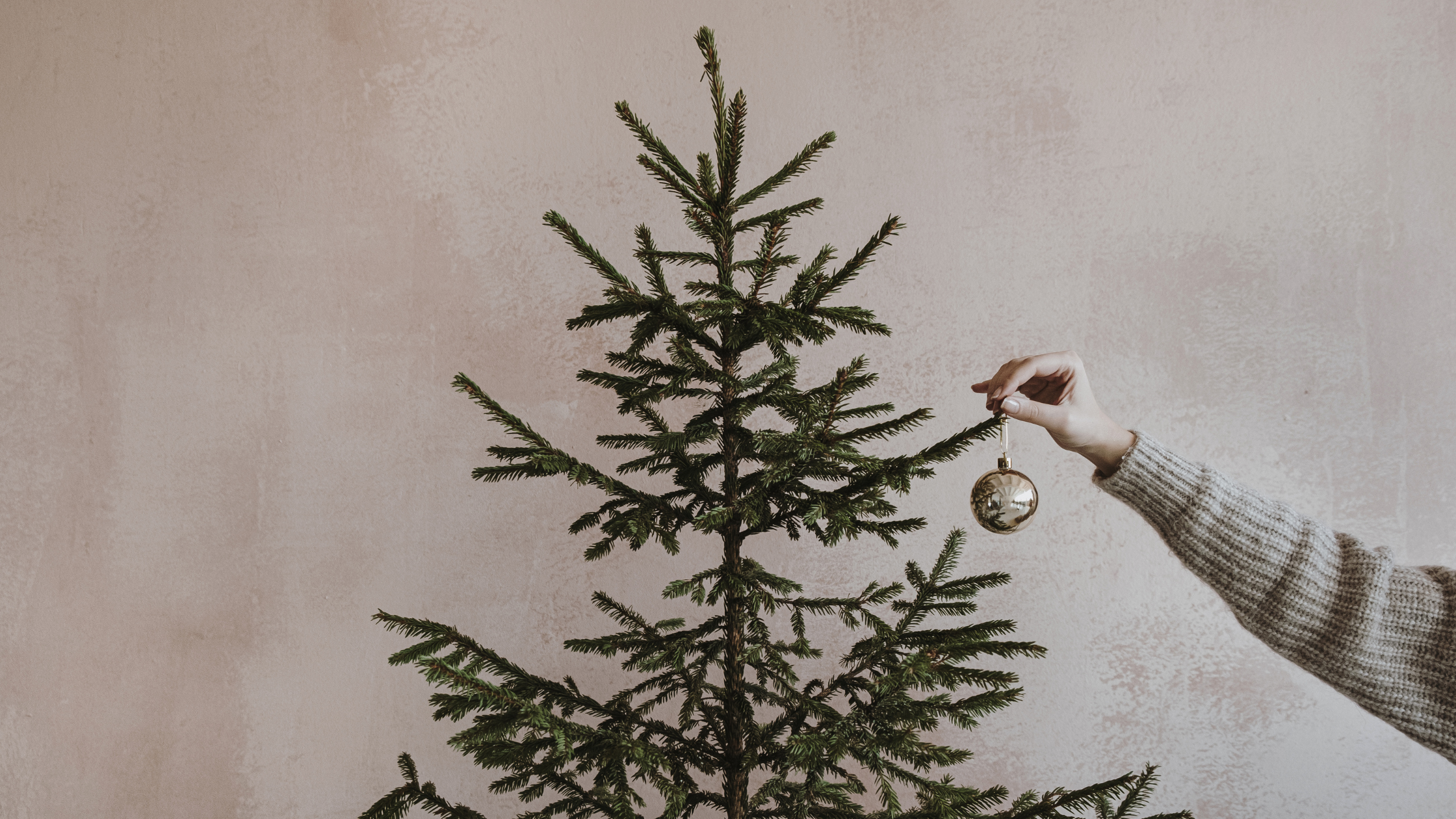 A person placing an ornament on a Christmas tree