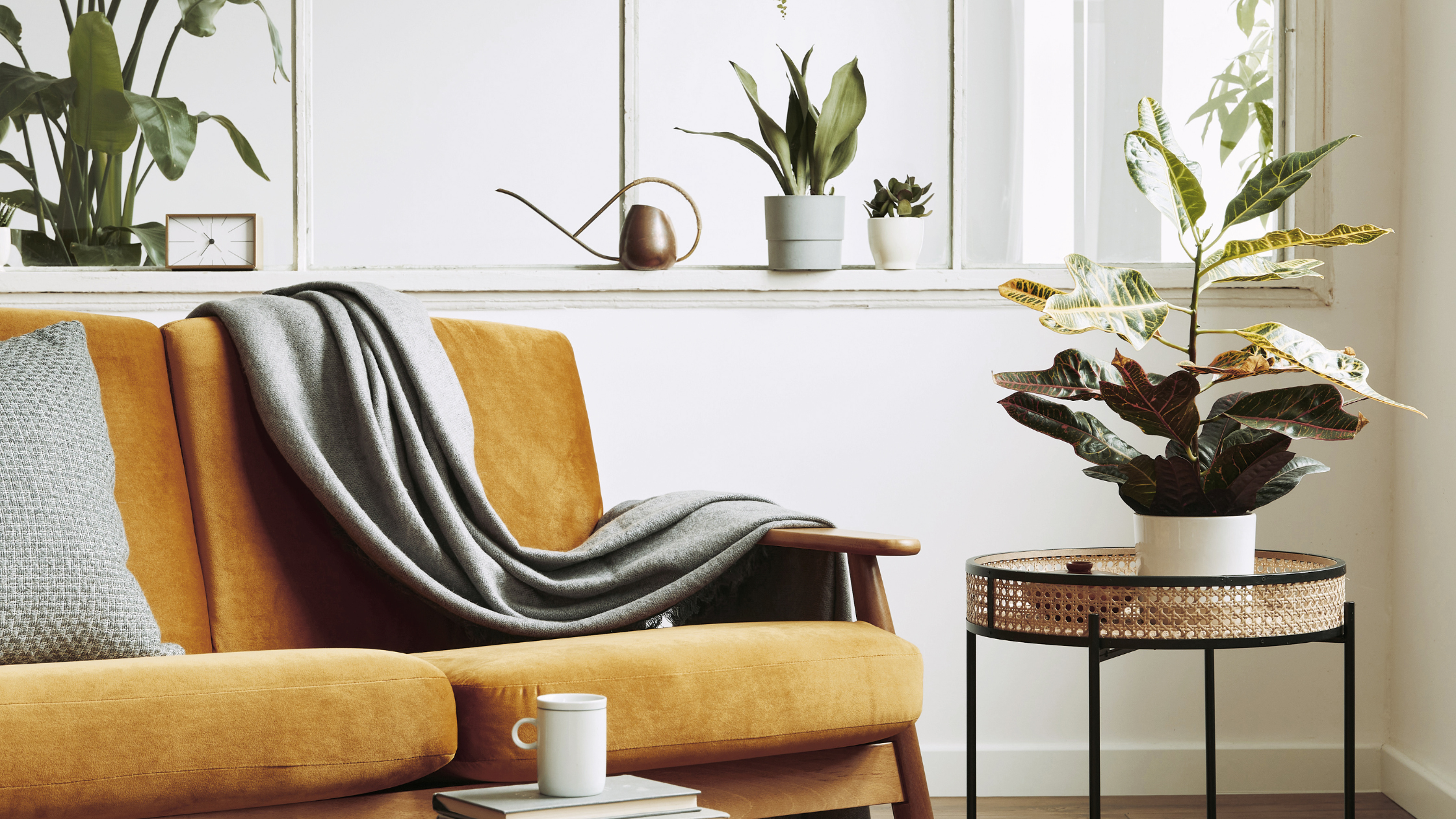 Want Top Dollar for Your Home? Staging Makes All the Difference header image.