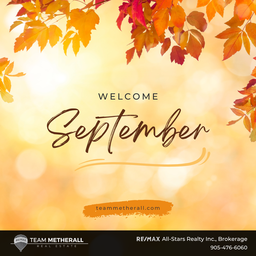 The Fall Market is Here header image.