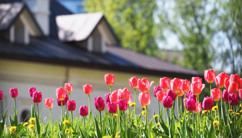 10 Ways to Prepare for the Spring Market: Listing Your Home header image.