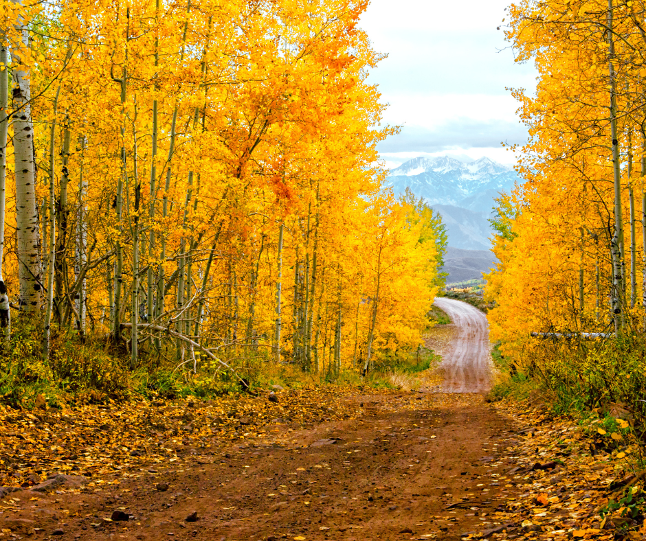 Exploring the Best Fall Hikes and Drives in Utah: A Guide to Autumn Adventures header image.