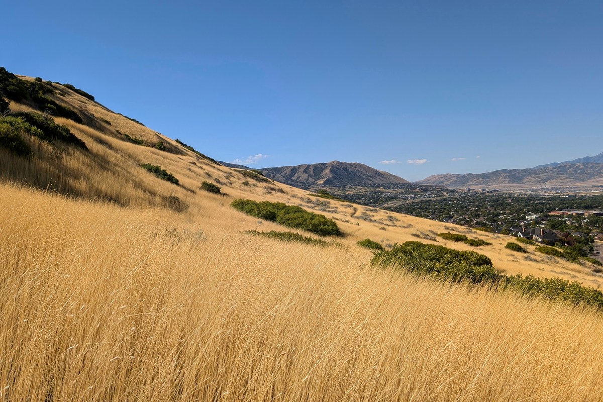 Golden grassy foothills overlooking Draper, Utah neighborhoods and mountains under a clear blue sky