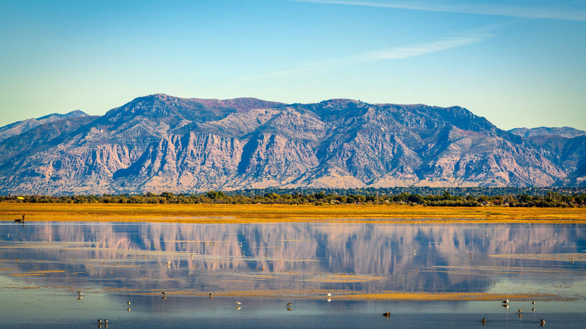 Best Realtor in Spanish Fork Utah | Local Expert | Red Sign Real Estate header image.