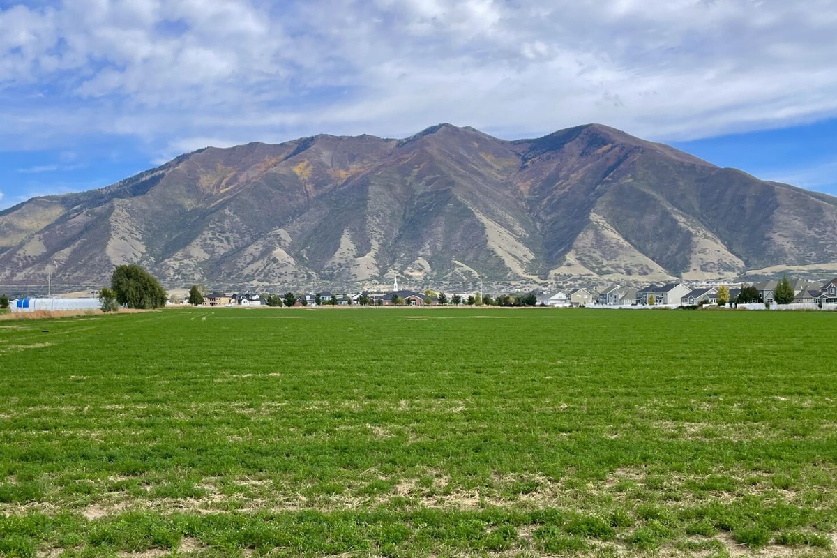 Open green field in Spanish Fork, Utah, with homes and Maple Mountain behind, near where Oak Village is planned
