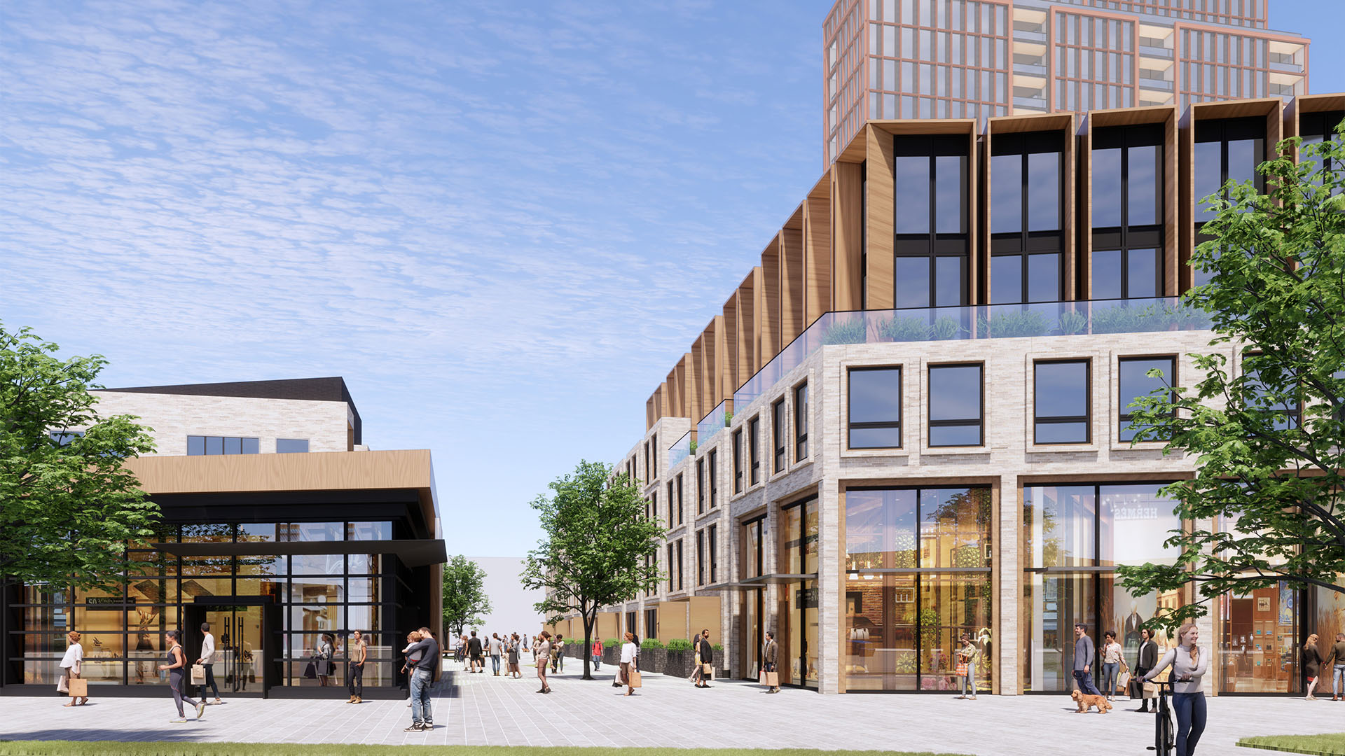 Utah City Vineyard Updates