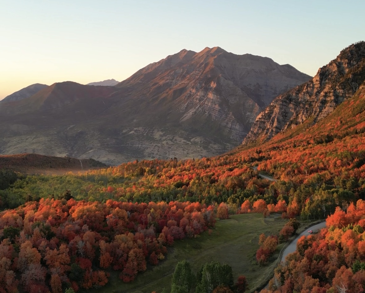 Car driving through Provo Canyon in Utah, surrounded by brilliant orange, red, and yellow autumn leaves.