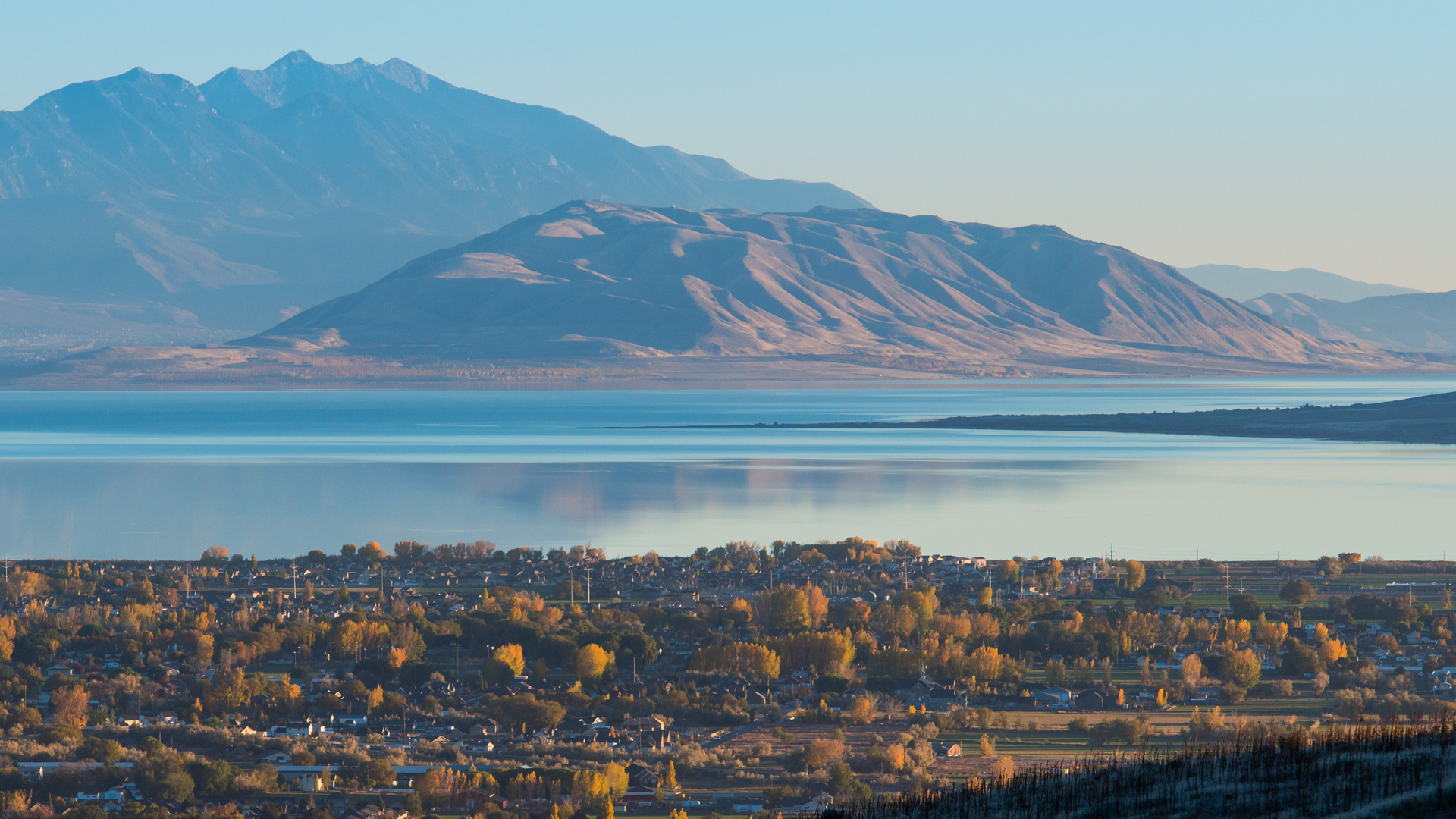 best real estate agent Lehi