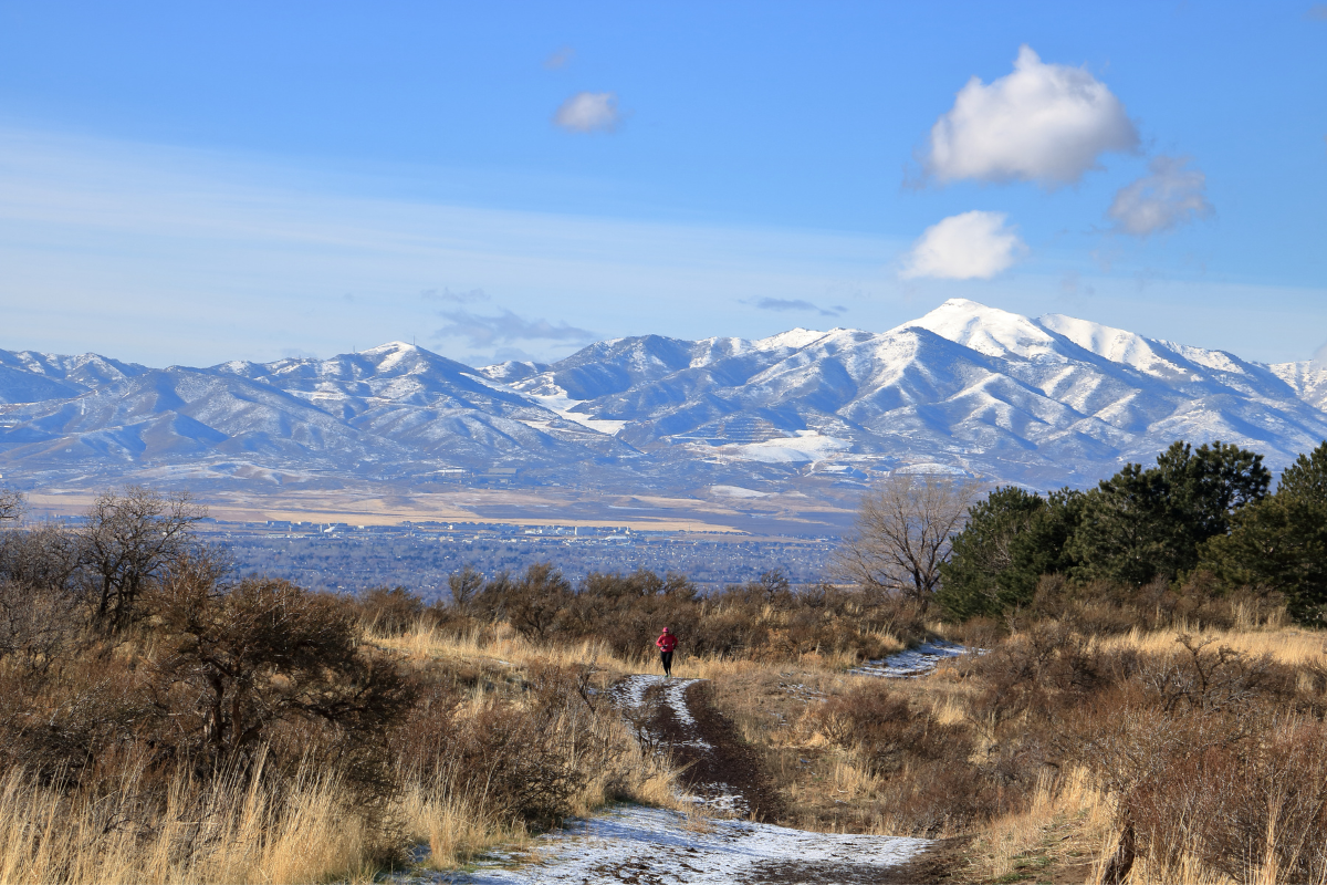 The Quest for Affordable Homes in Sandy: Tips and Tricks header image.