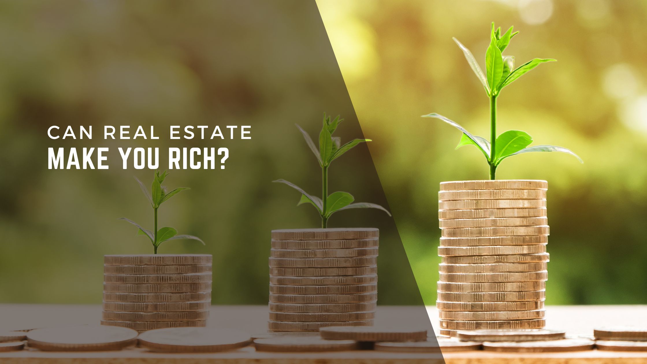 Can Real Estate Make You Rich? header image.