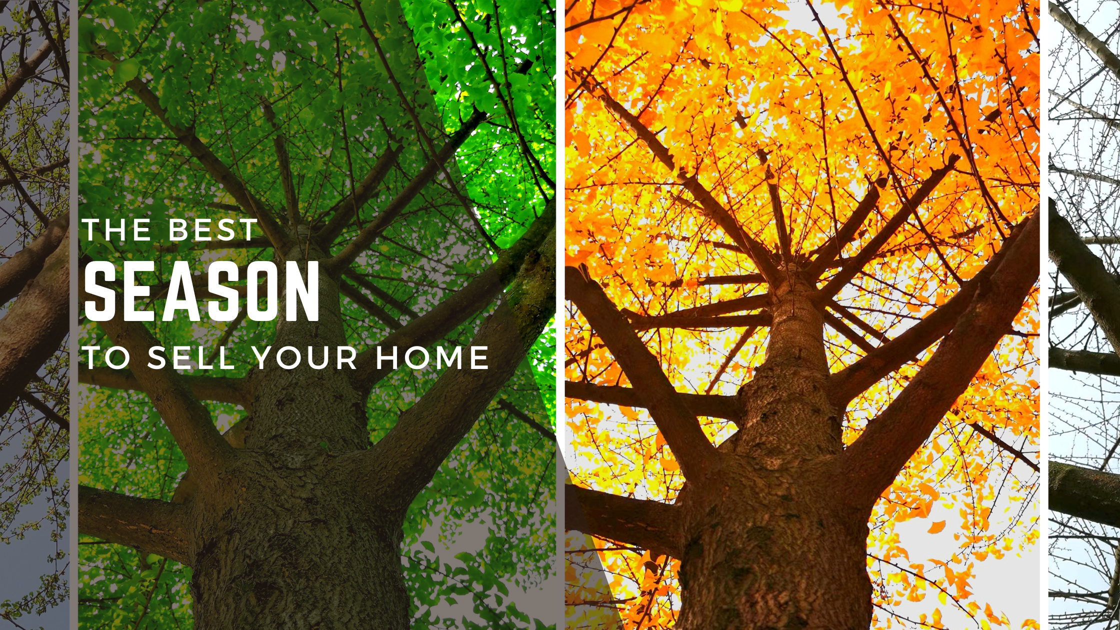 The Best Season to Sell Your Home header image.