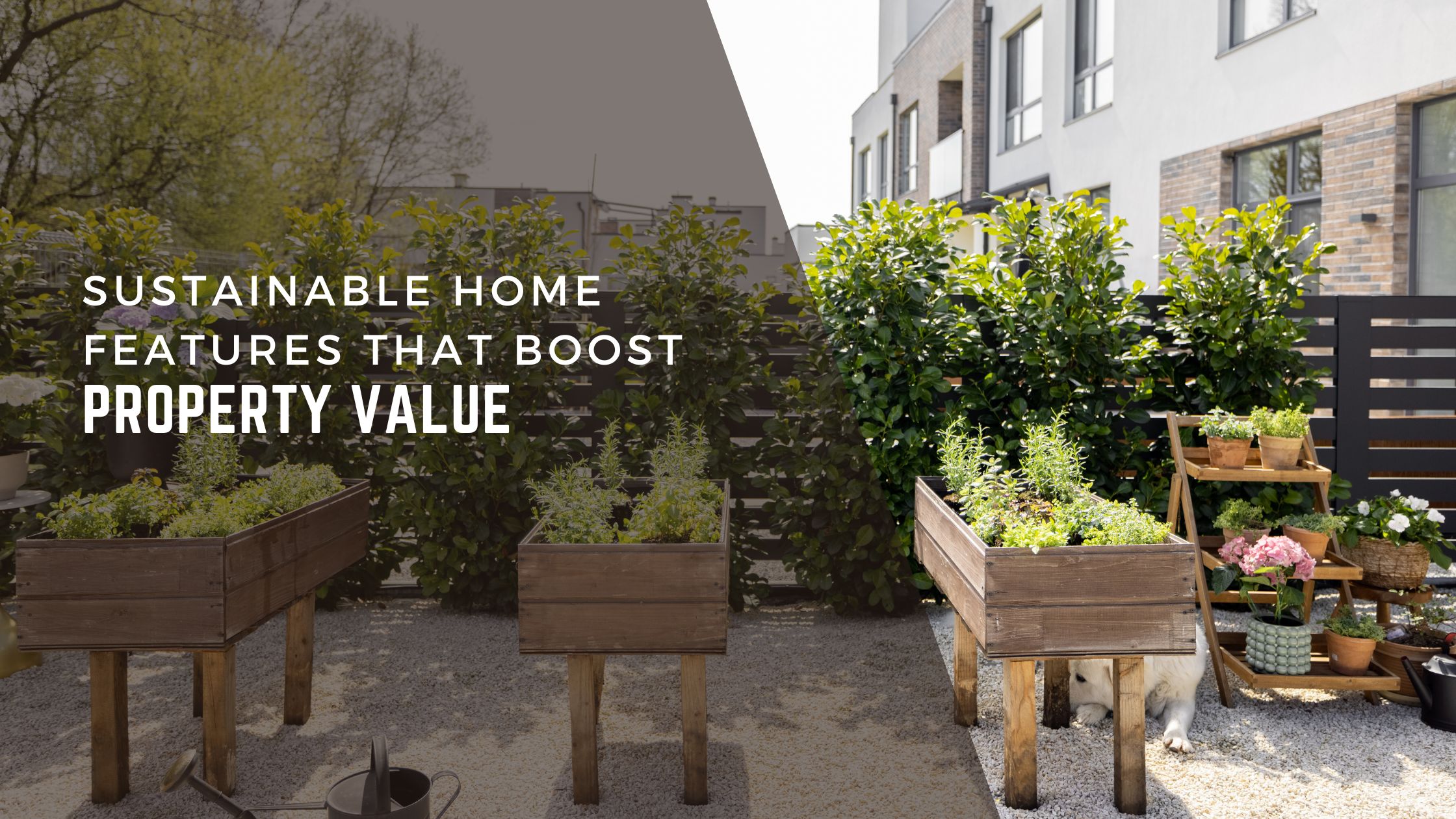 Sustainable Home Features That Boost Property Value header image.