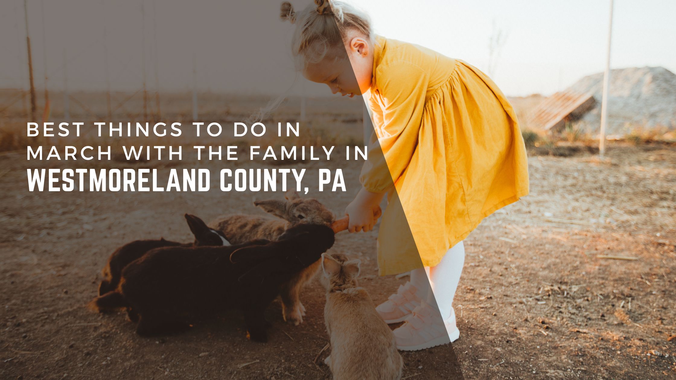 Best Things to Do in March with the Family in Westmoreland County, PA header image.