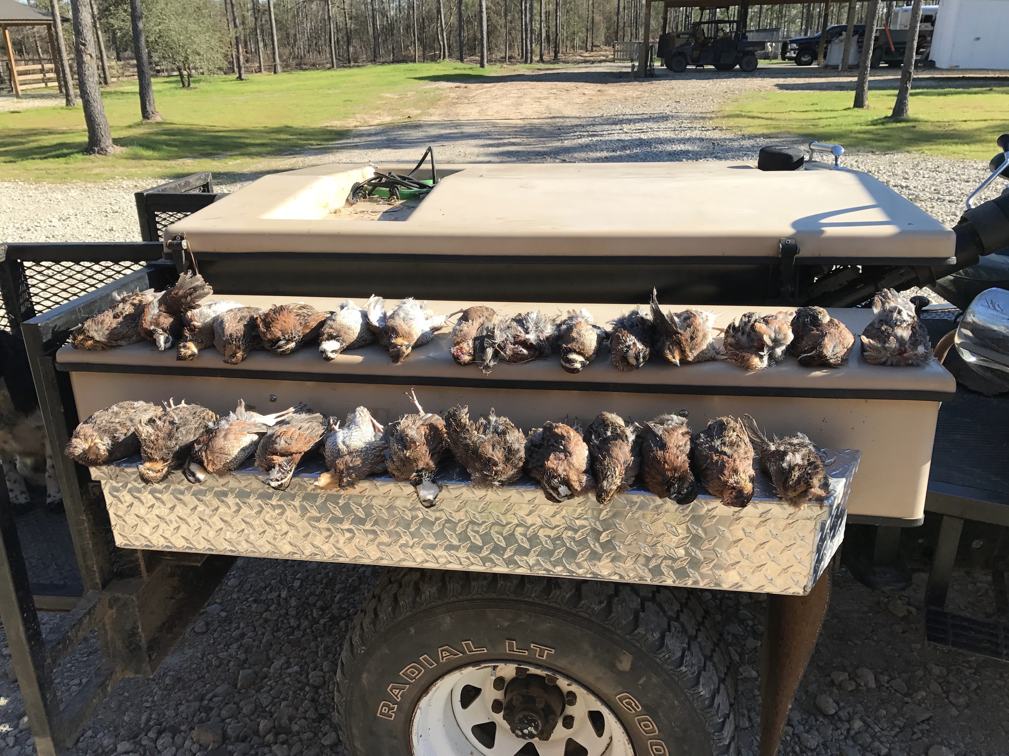 On the Up and Up with Upland Game header image.