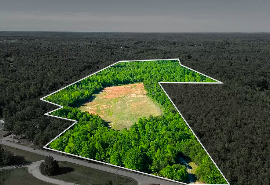 Survey Says... header image.