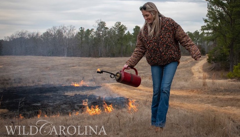 Let It Burn header image.