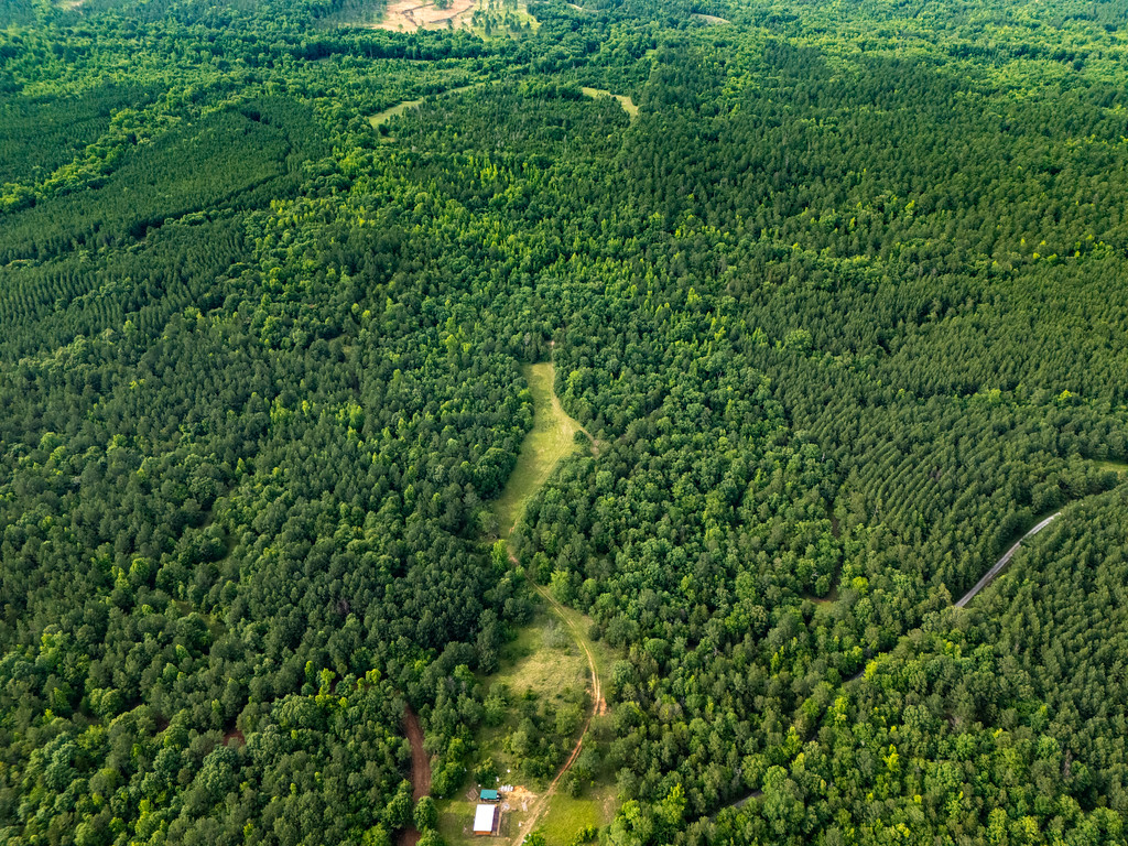 Perks of Owning Land in South Carolina You Might Not Know About header image.
