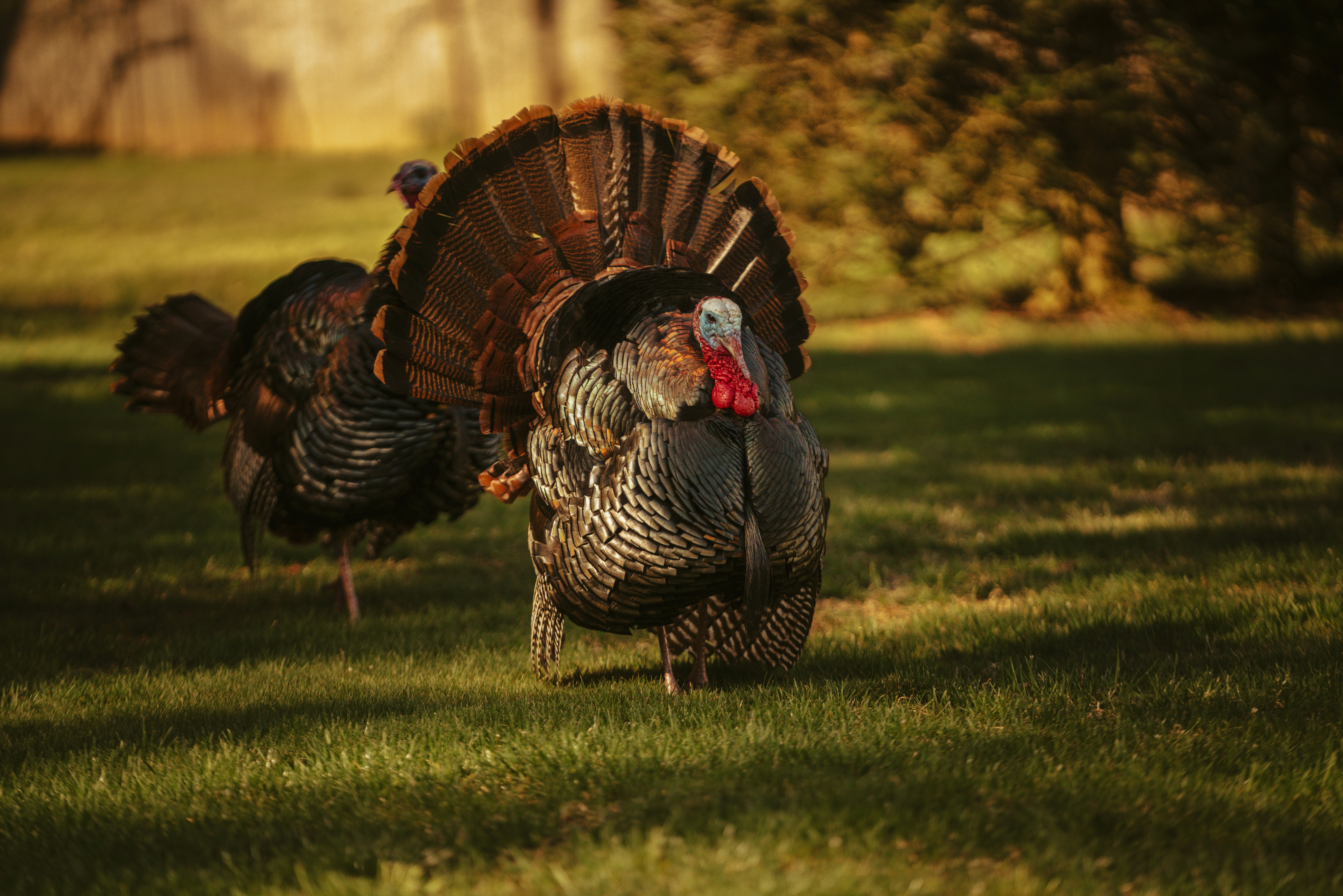 The Things Spring Brings header image.