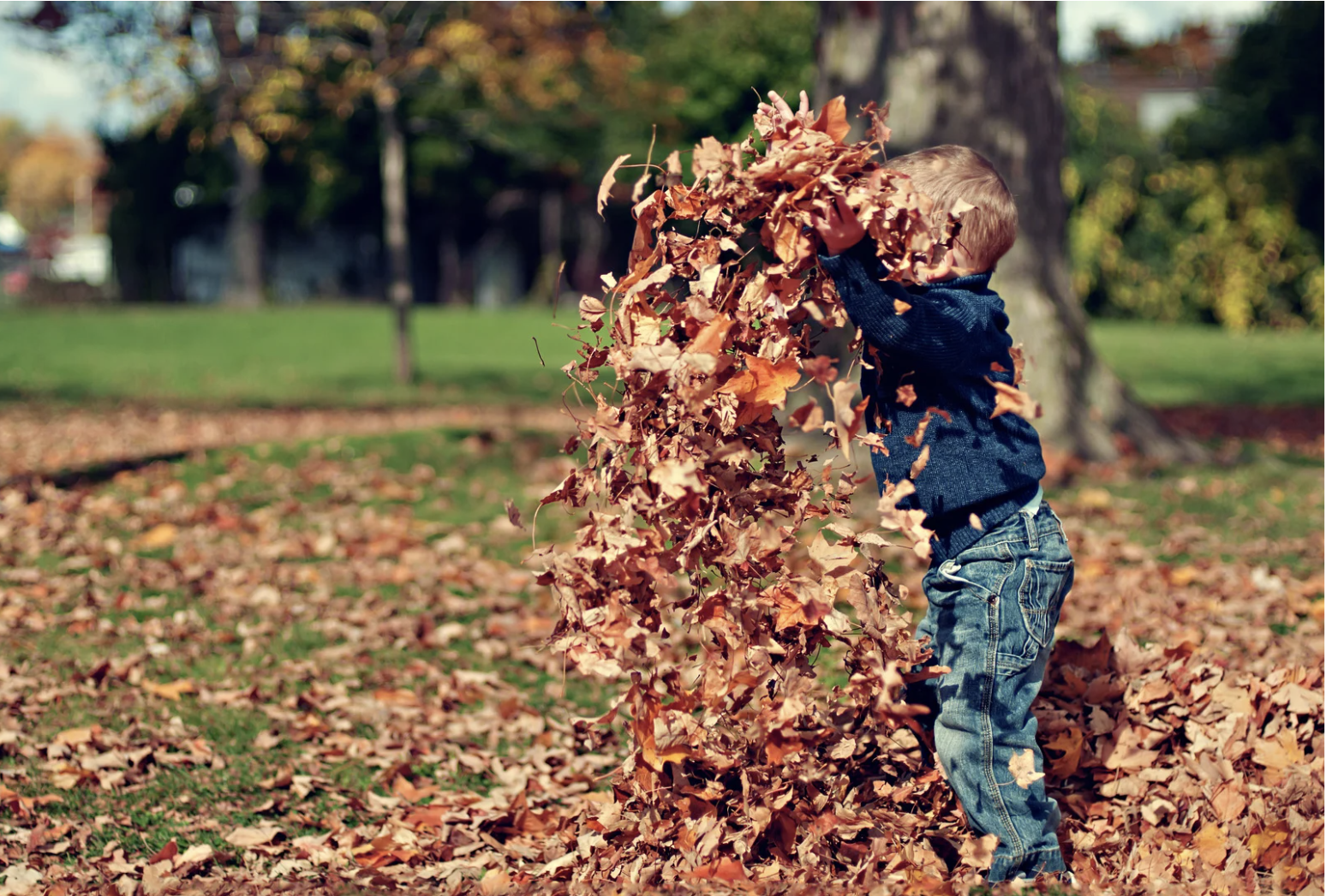 What’s Really Happening in the Fall 2025 Market? header image.