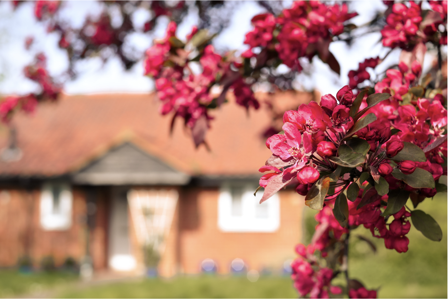 Preparing Your Home for Spring: Simple Shifts that Make a Big Difference header image.