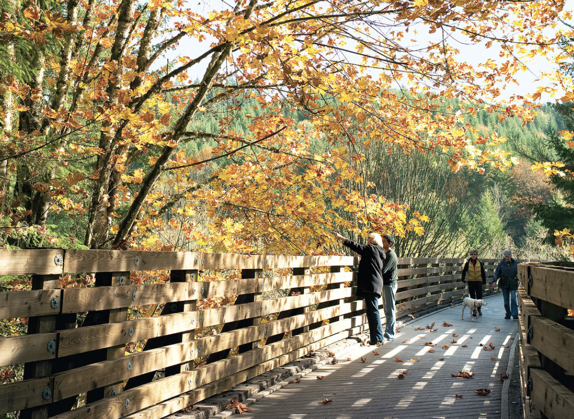 Vernonia, Oregon: A Scenic Small Town with Outdoor Adventure and Historic Roots header image.