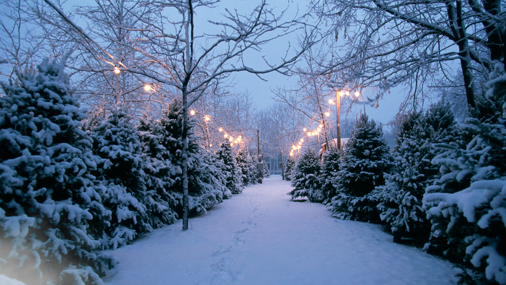 What's colder than Minnesota in spring? header image.