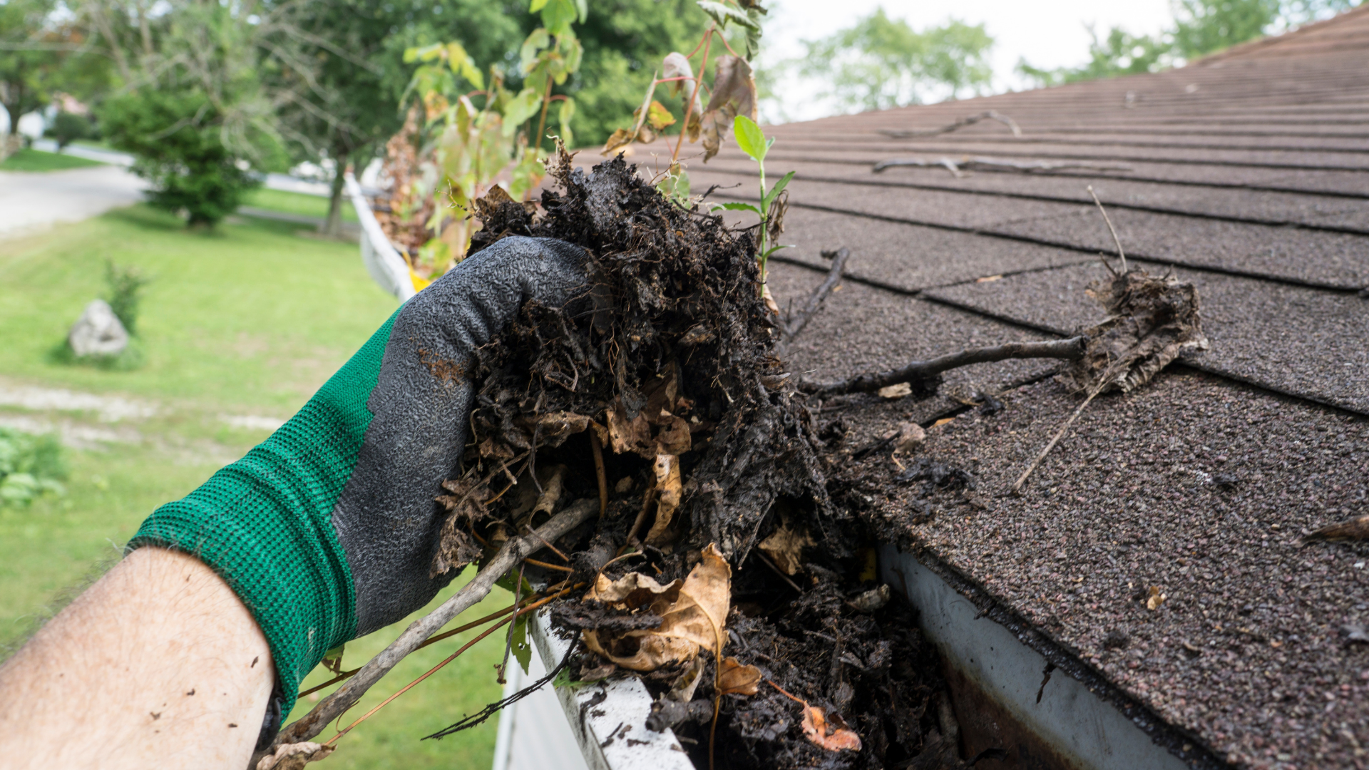 What Your Gutters Want You To Know header image.