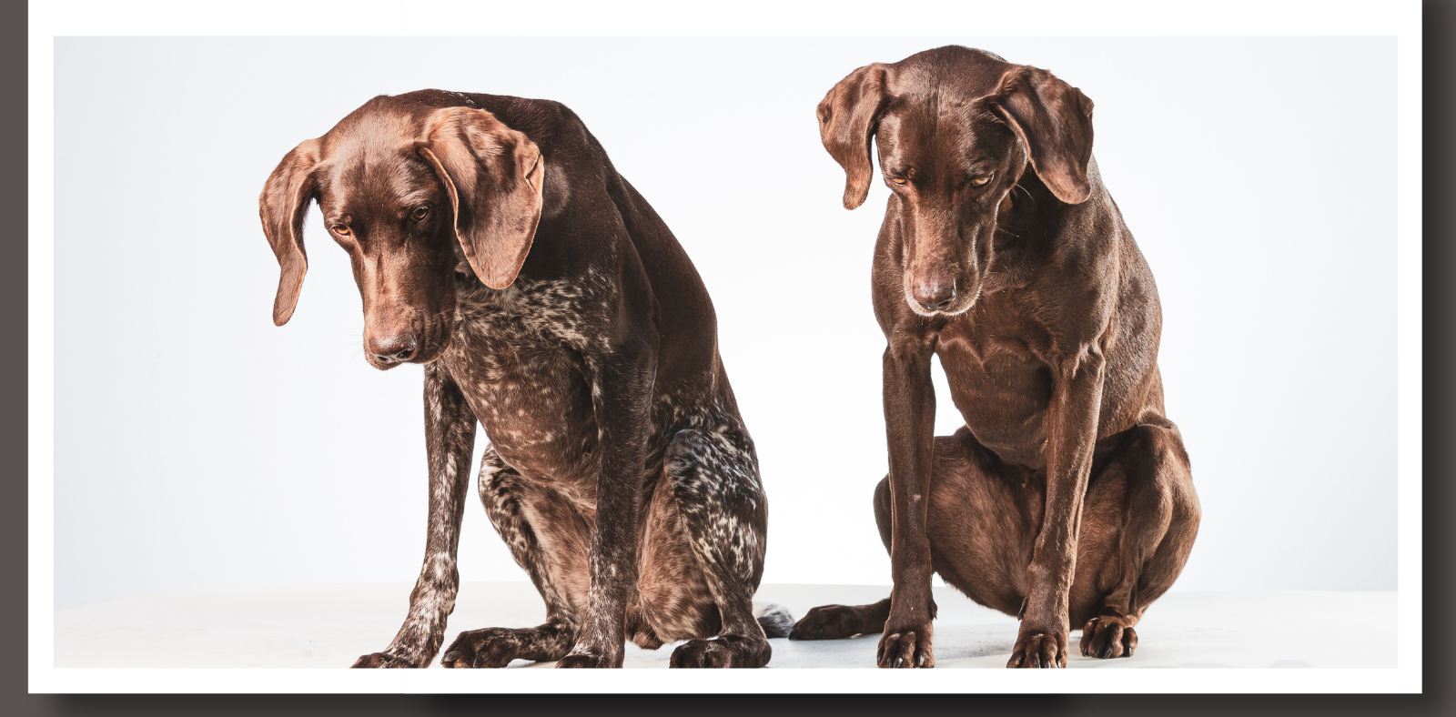 Understanding Home Buyer’s Remorse: Top Five Regrets After the Major Purchase header image.