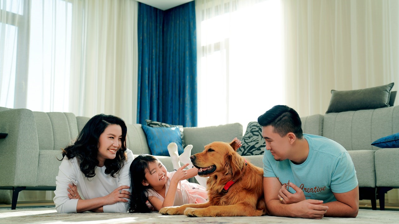 Making Your Home Pet Friendly header image.