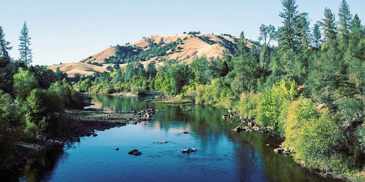 Beautiful neighborhood in Gold River, California, showcasing well-kept homes, tree-lined streets, and peaceful suburban living.