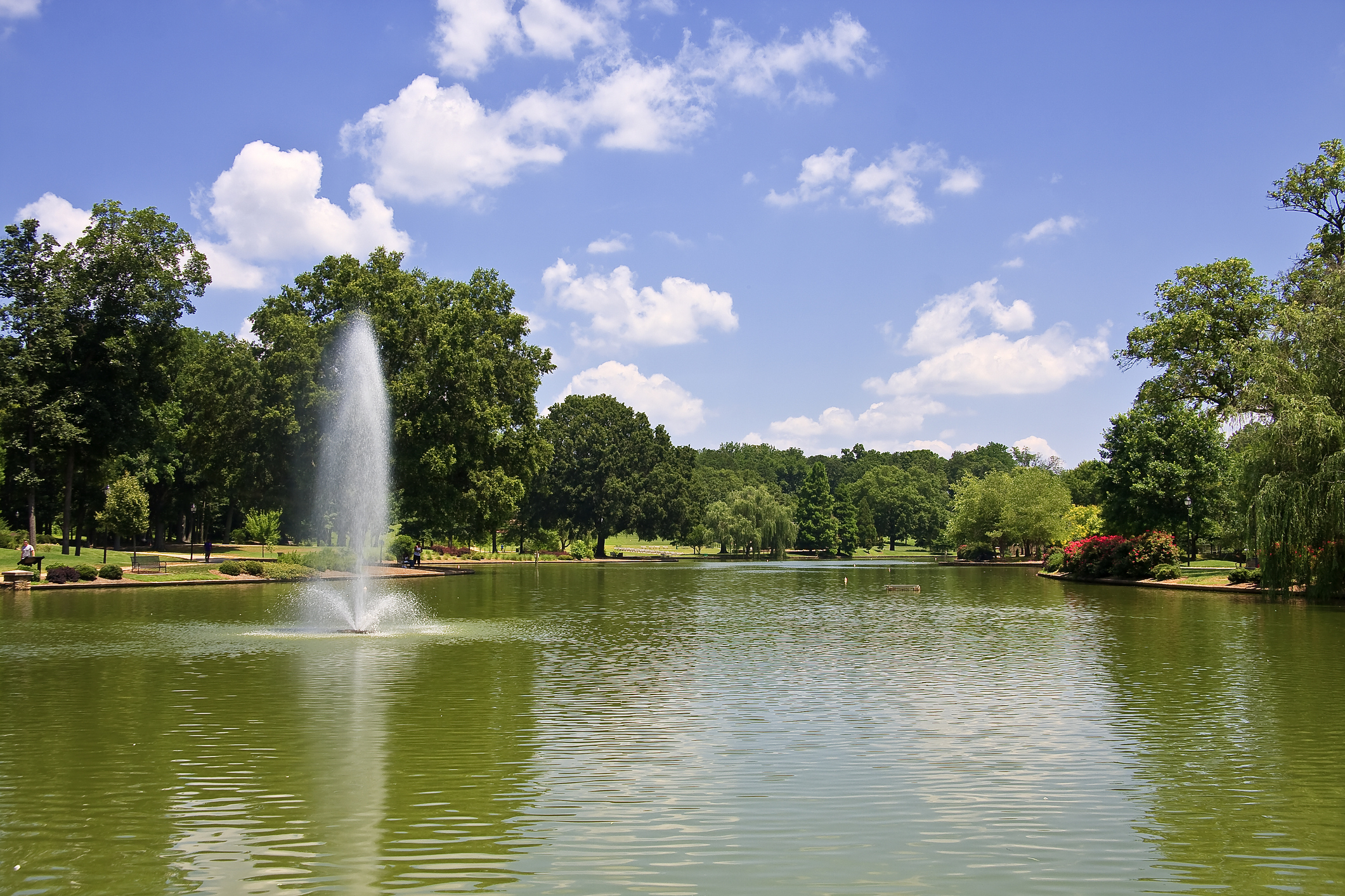 Why You Should Move to Charlotte, NC header image.