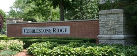 Cobblestone Ridge, Canton: The Perfect Blend of Charm and Convenience header image.