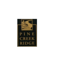 Pine Creek Ridge Brighton: Luxury Living Surrounded by Nature header image.