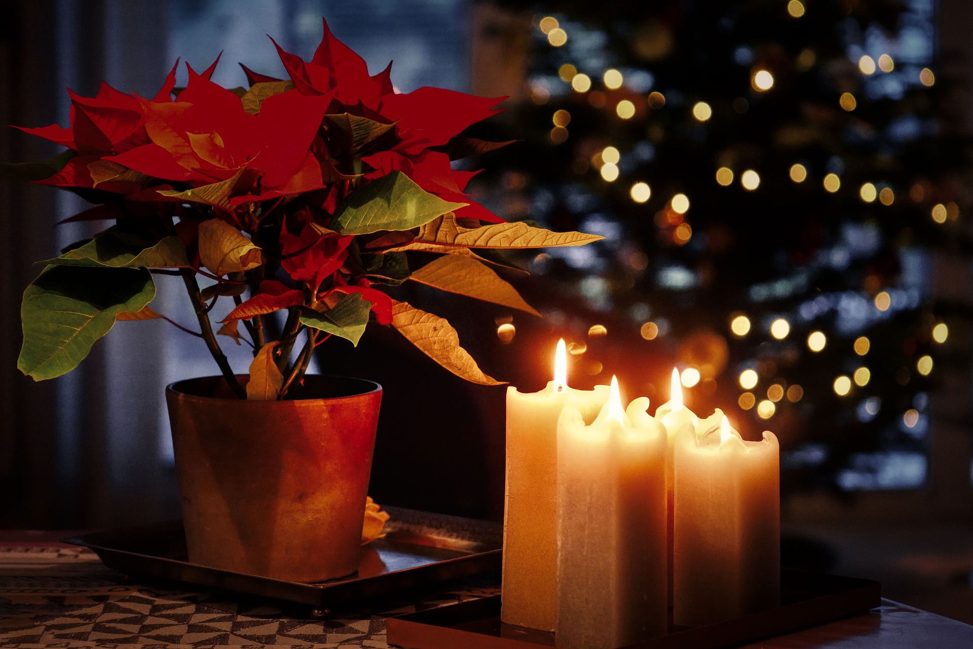 The Christmas we didn't buy a house... header image.