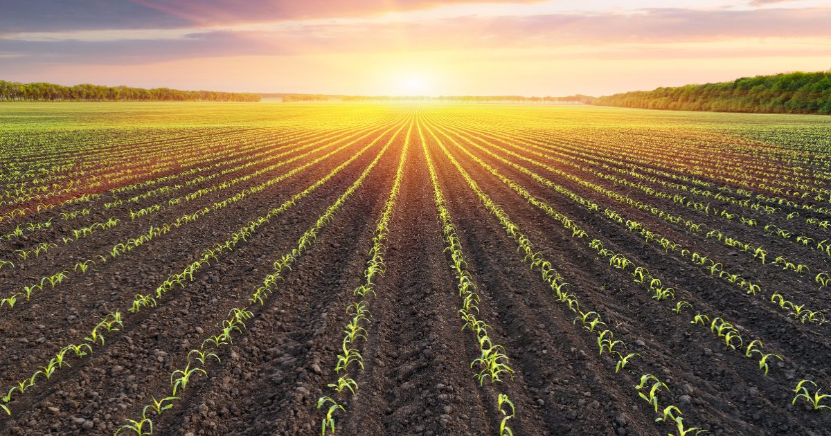 Buying an Acreage Near Sioux Falls? 7 Things to Check First header image.