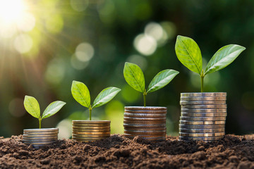 Passive Income Through Real Estate Explained: How Investors Build Wealth Over Time header image.