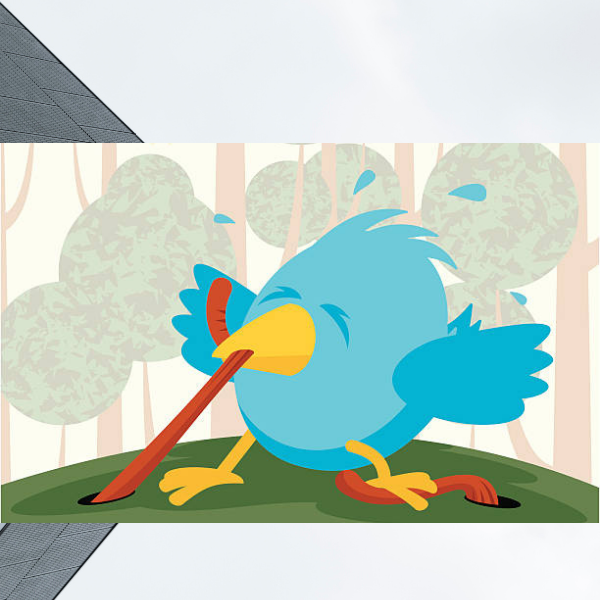 The Early Bird Catches the Worm header image.