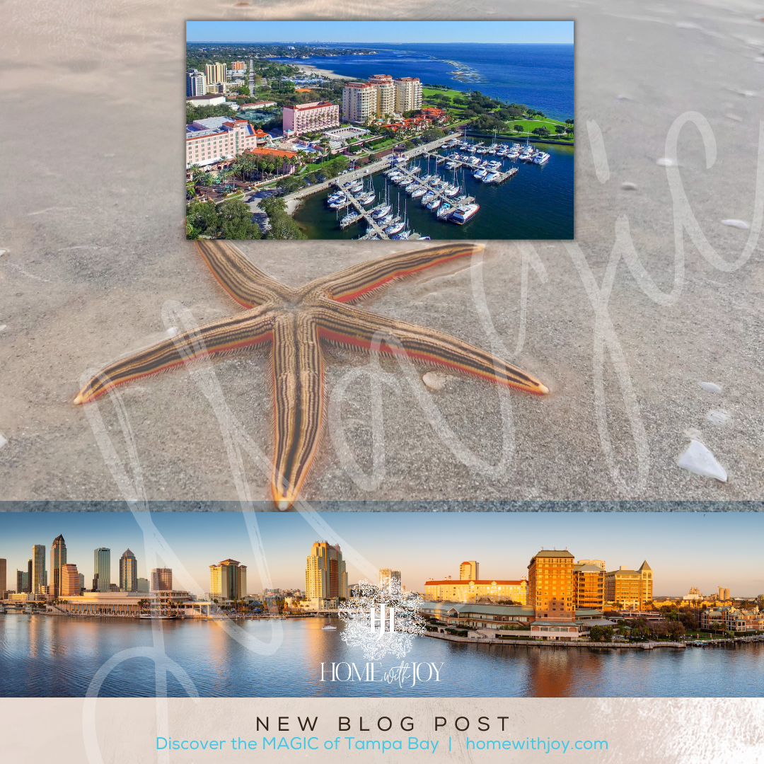 Discover the Magic of Tampa Bay header image.