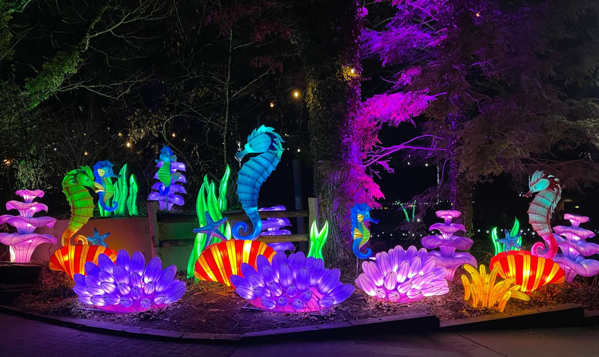 IllumiNights at the Zoo: A Holiday Wonderland header image.