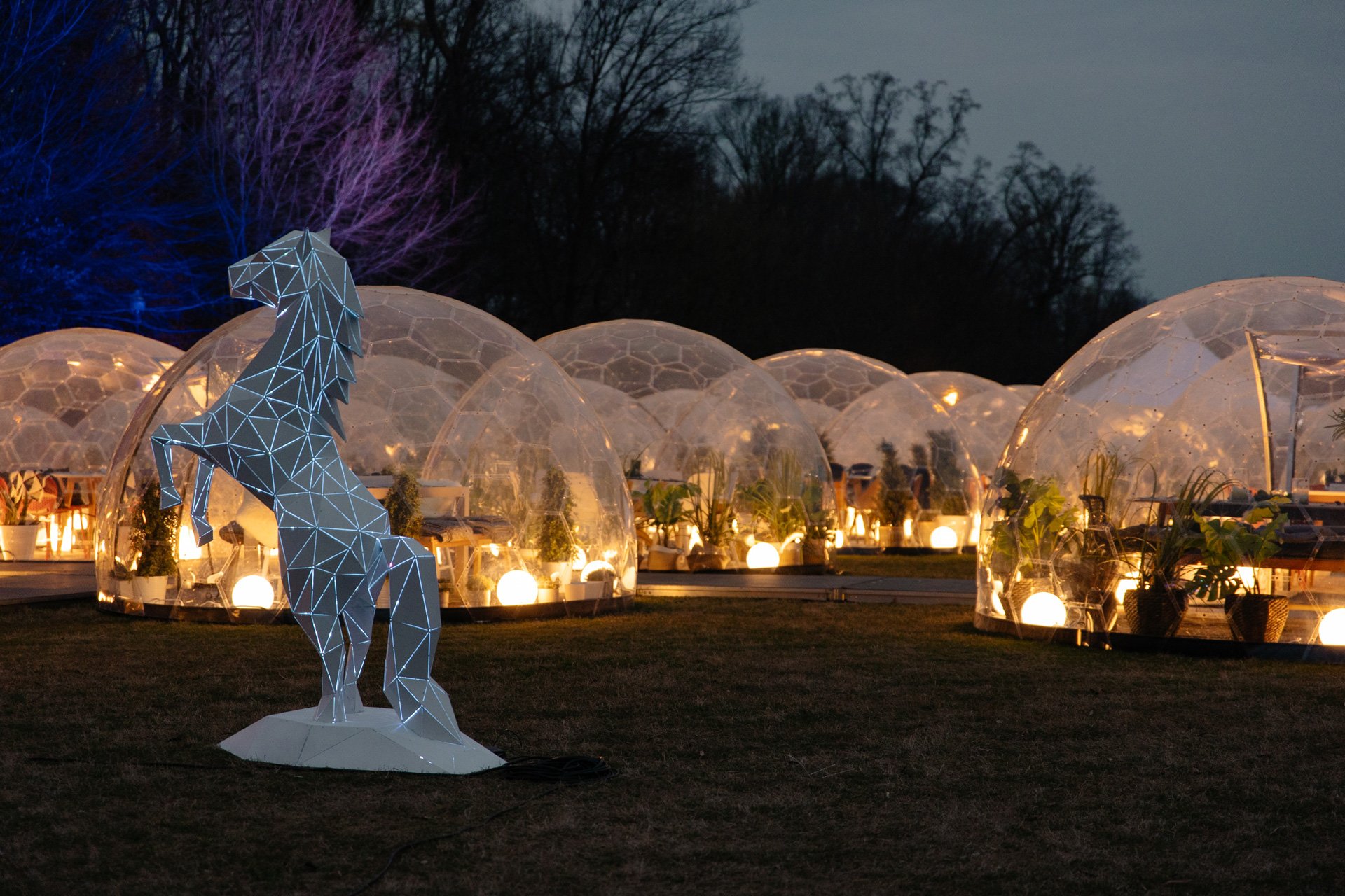 Dinner with A View header image.