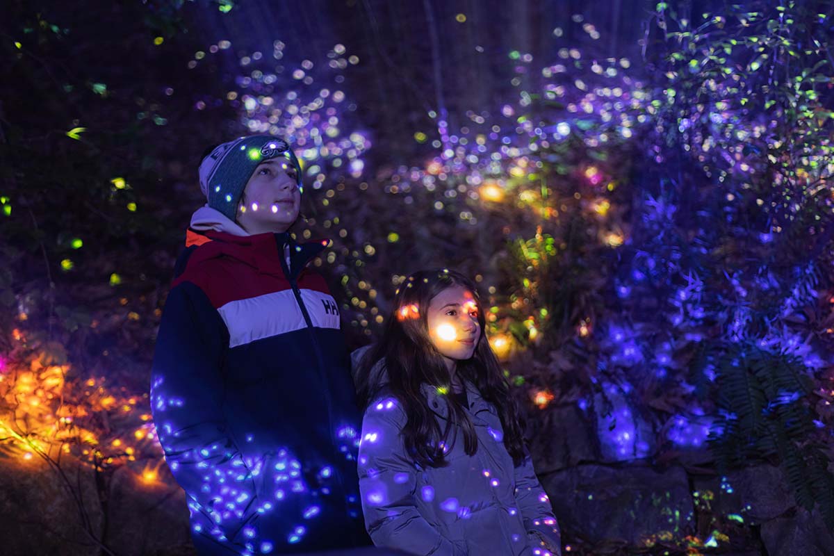 Discover the Magic of Nature at Night with WildWoods AGLOW header image.