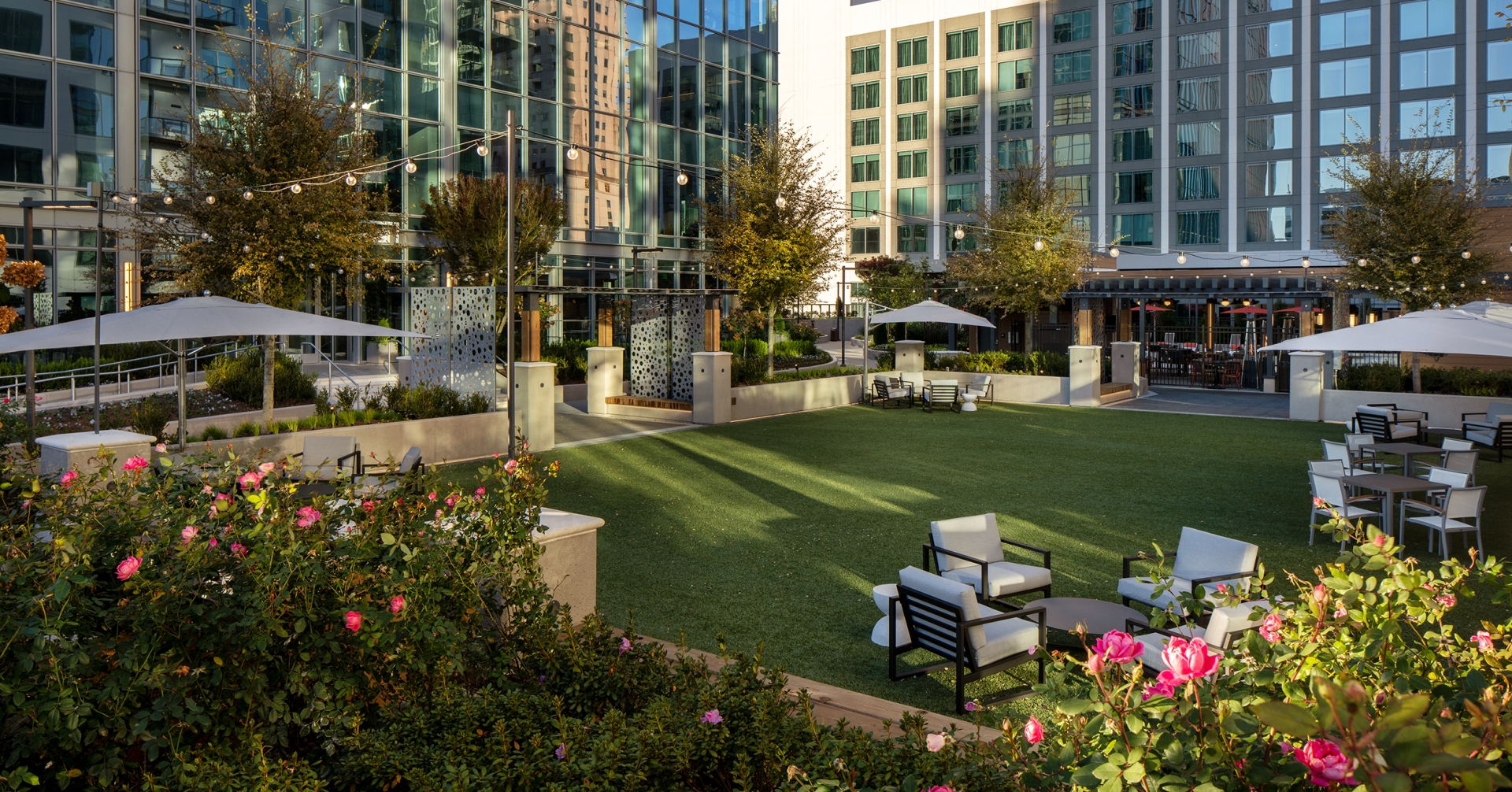 Father's Day BBQ & Brews on the Sky Terrace Lawn header image.