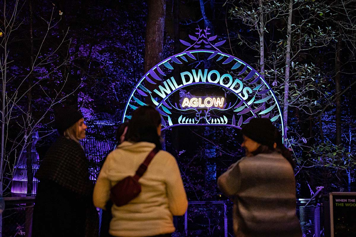 WildWoods AGLOW: A Nighttime Wonderland header image.
