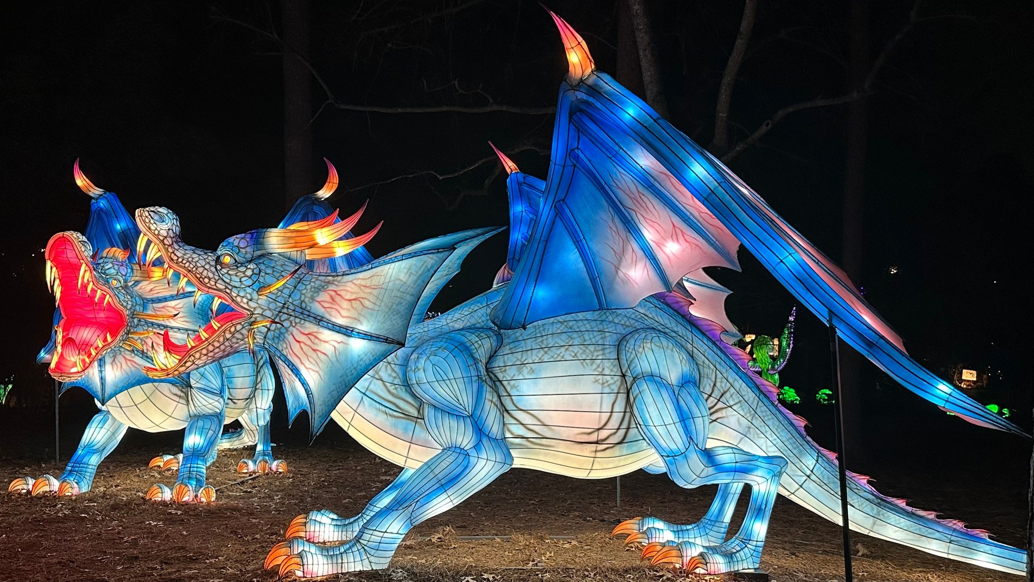 Experience the Magic of Atlanta Holiday Lights this Season with Illuminights header image.