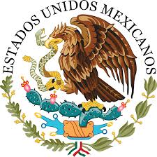 Government in Bucerias header image.